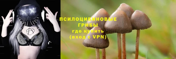 шишки Балахна