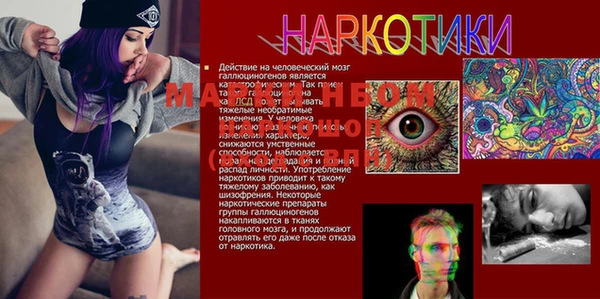 прущие грибы Баксан