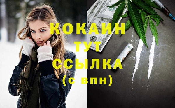 прущие грибы Баксан
