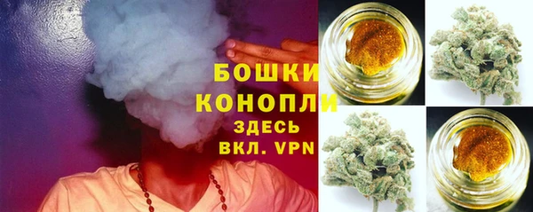 прущие грибы Баксан