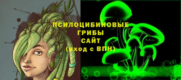 шишки Балахна