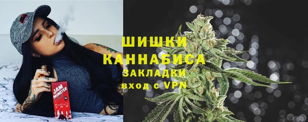 шишки Балахна