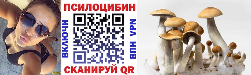 Псилоцибиновые грибы мицелий  где купить наркотик  Онега 